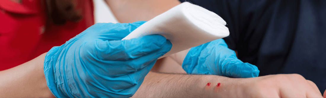 Preparation and precaution to take for Snake Season in Australia - Dynamic First Aid