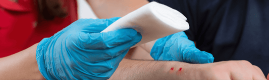 Preparation and precaution to take for Snake Season in Australia - Dynamic First Aid